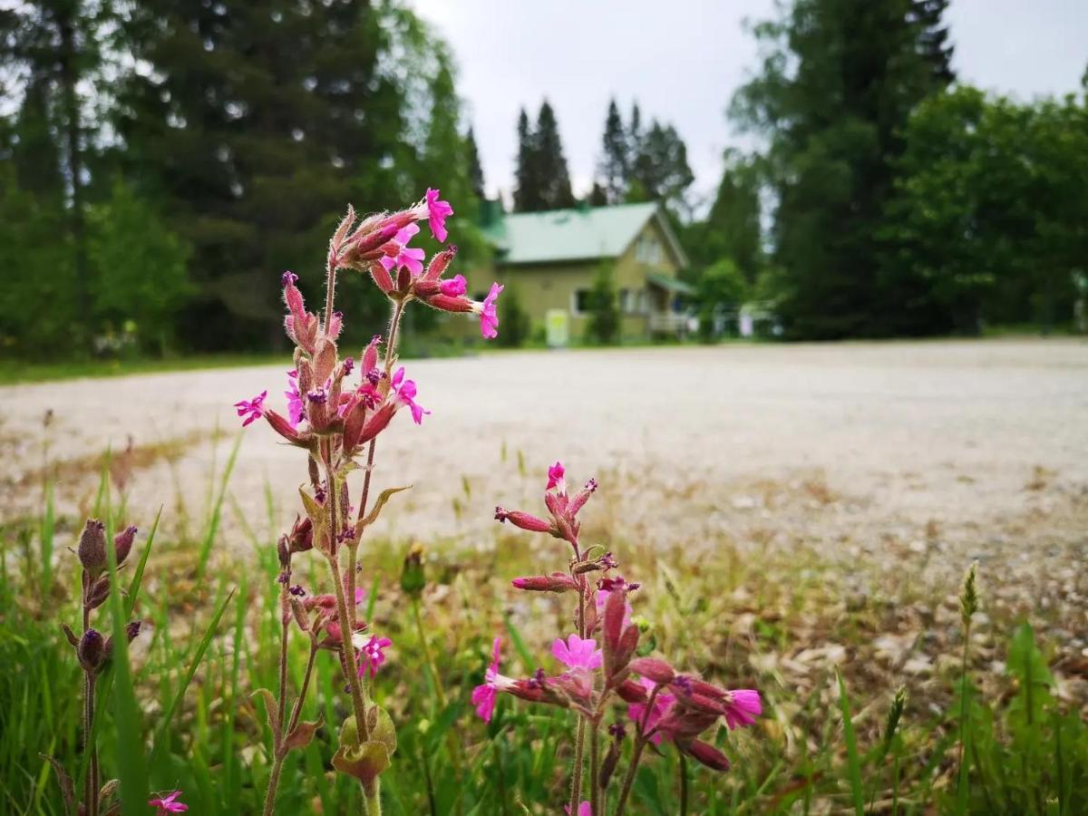 Raate Guest House Suomussalmi Exterior foto